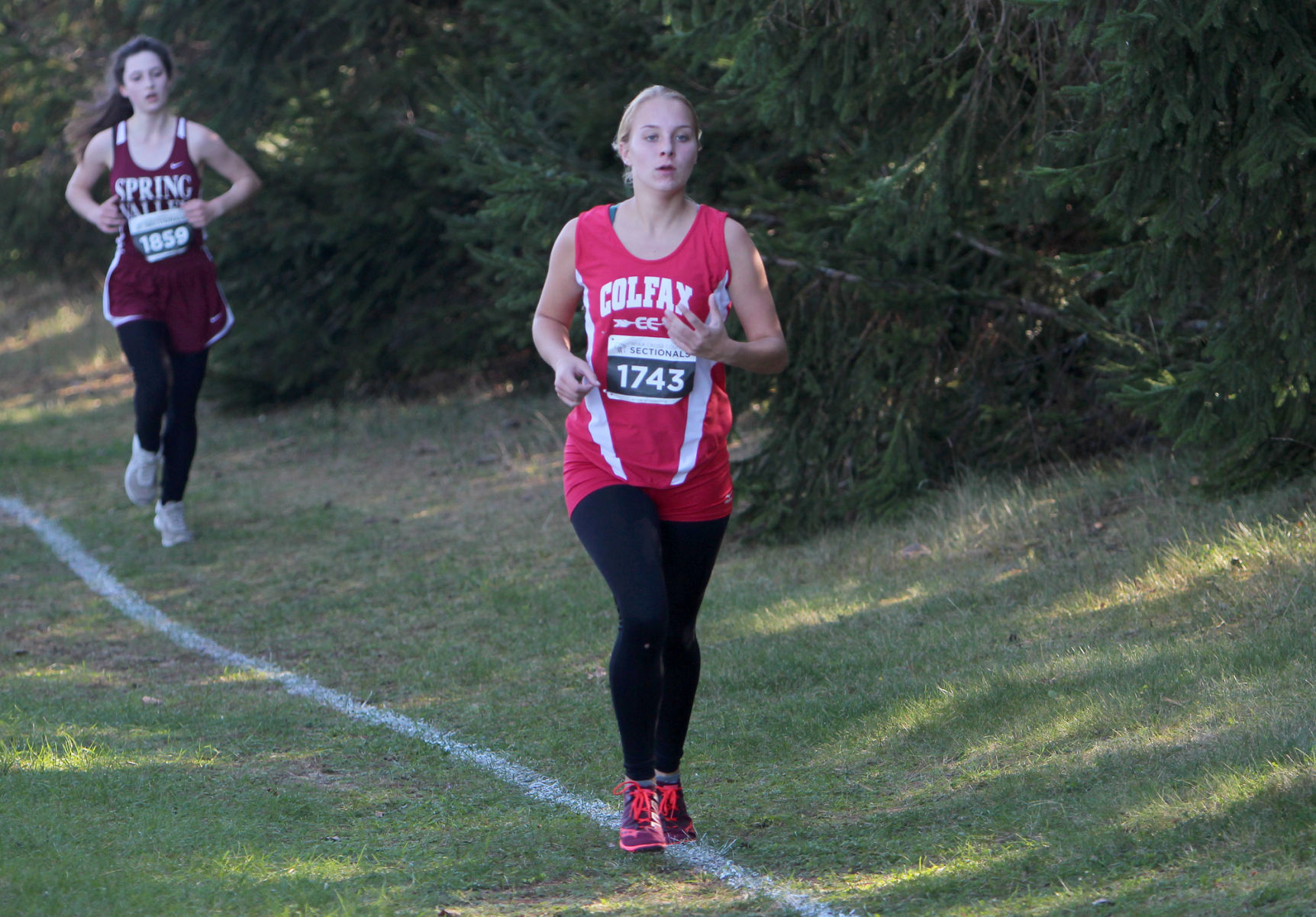 Division 3 Cross Country Sectionals in Boyceville 10-26-19